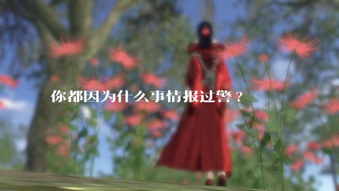 你都因为什么事情报过警?