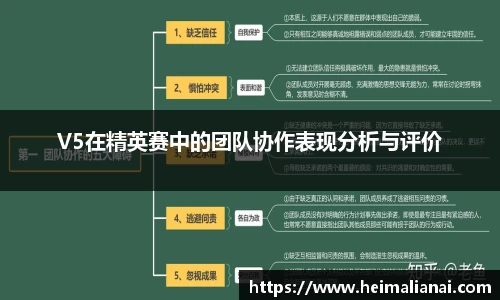V5在精英赛中的团队协作表现分析与评价